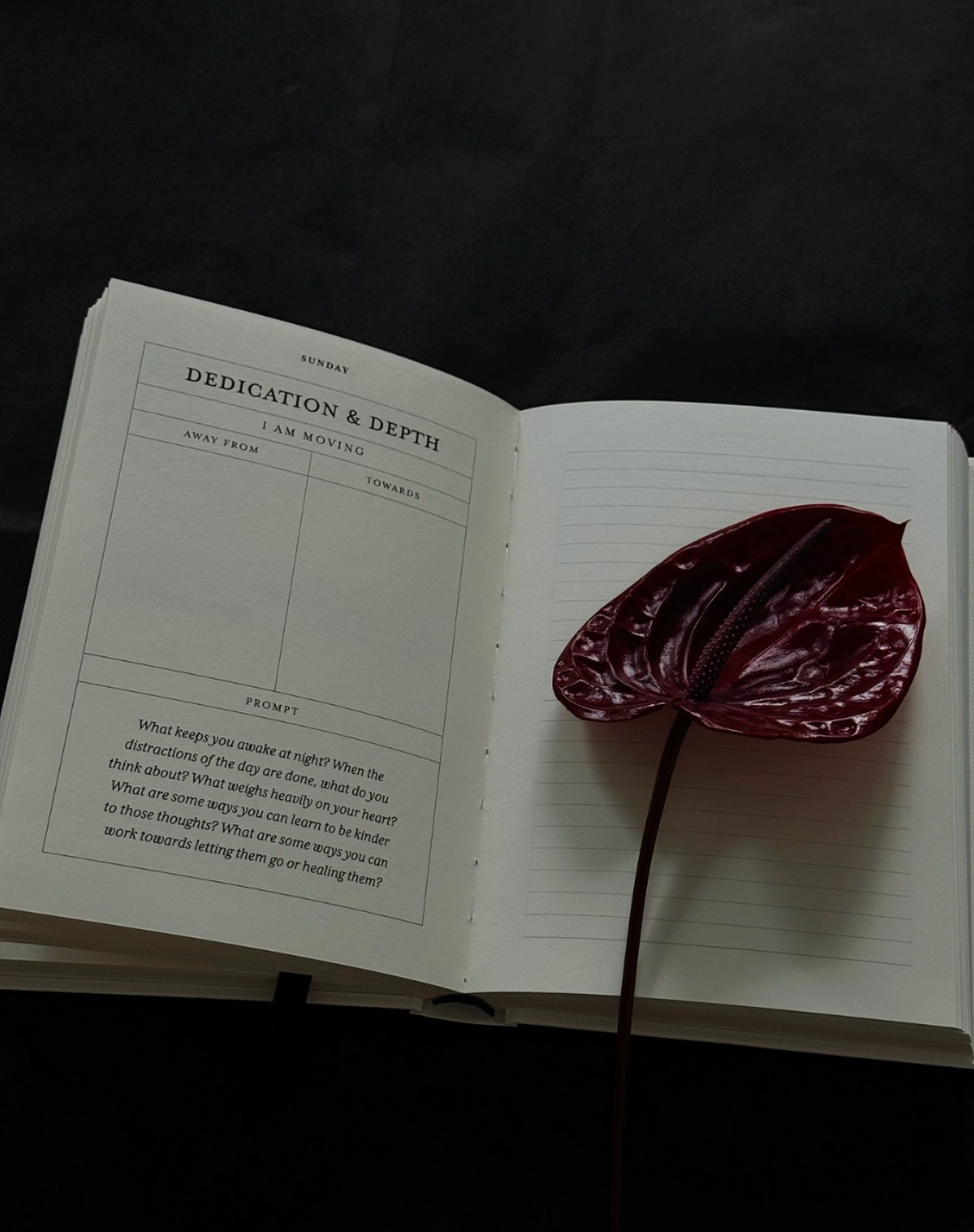 The Becoming Journal